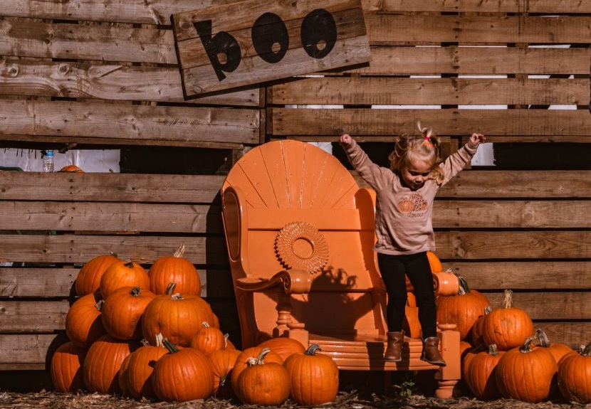 Rogate Pumpkin Patch by SarahSheldrake